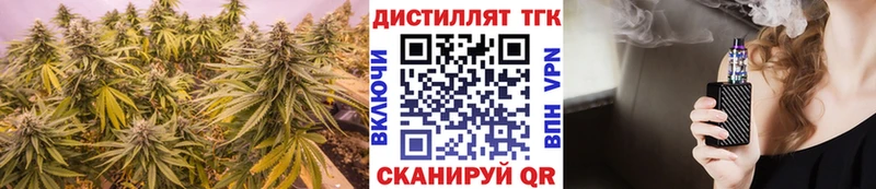 как найти   Курган  Дистиллят ТГК Wax 